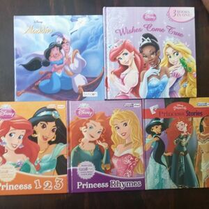 Set of 5 Hardcover Disney Princesses Books